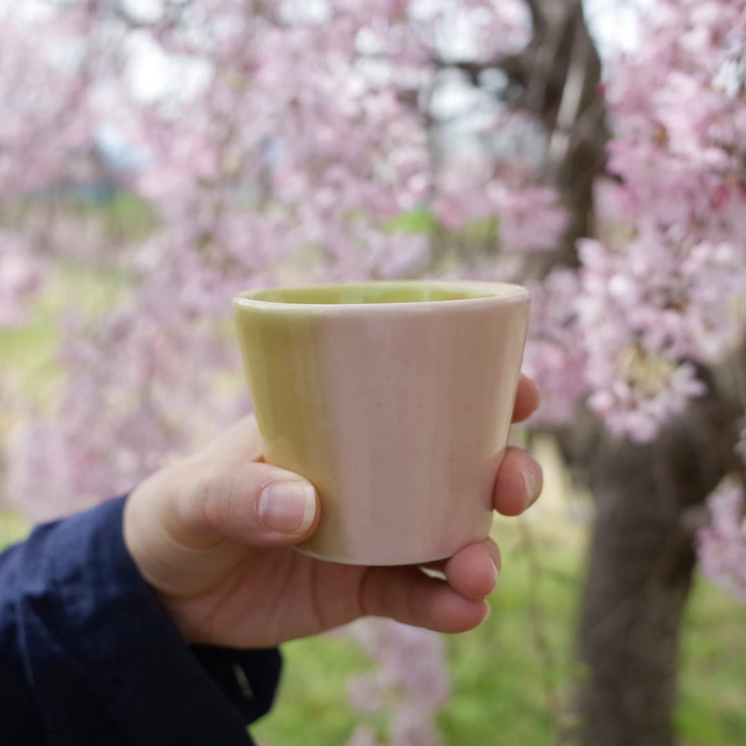 春爛漫なカップを連れてお花見へ